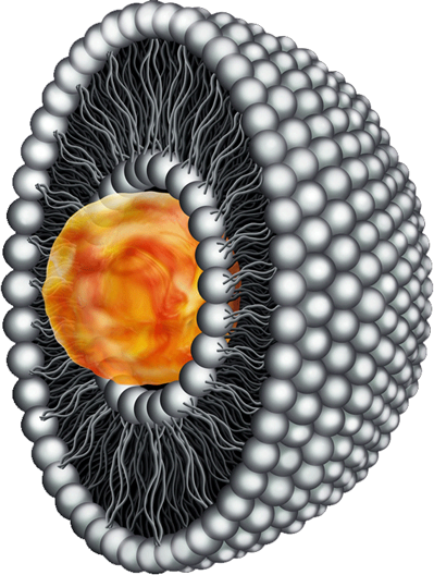 liposome1