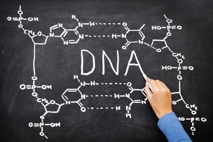 dna