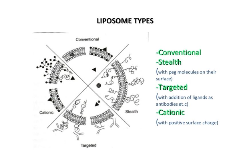 סוגים שונים של ליפוזומים