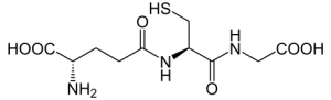 גלותטיון