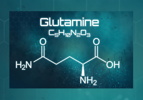 glutamine