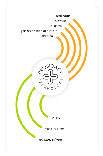 ecosupp_infographics3_Hebrew_Probioact 4