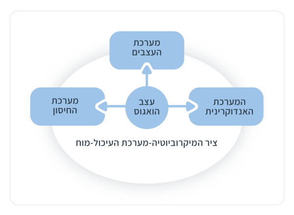 ecosupp_infographics3_Hebrew_Zen 1